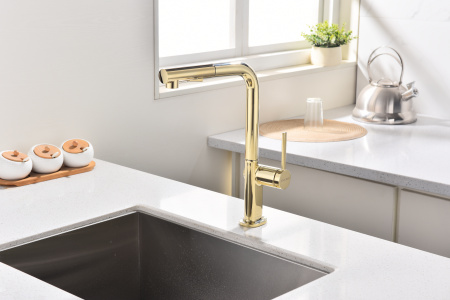 смеситель для кухни paulmark neo ne214419-g, цвет золото