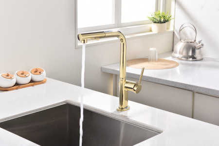 смеситель для кухни paulmark neo ne214419-g, цвет золото