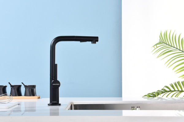 смеситель для кухни paulmark neo ne214419-401, цвет антрацит.