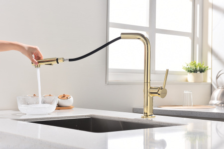 смеситель для кухни paulmark neo ne214419-g, цвет золото