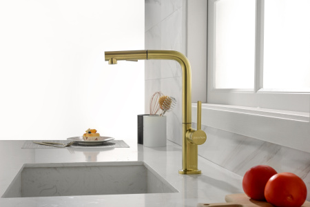 смеситель для кухни paulmark neo ne214419-bg, цвет брашированное золото