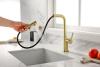 смеситель для кухни paulmark neo ne214419-bg, цвет брашированное золото