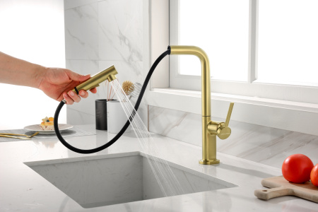 смеситель для кухни paulmark neo ne214419-bg, цвет брашированное золото