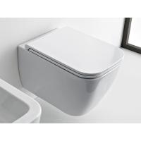 Унитаз Scarabeo Teorema 2.0 5126TW/41 | 8305/B41 | 10050/A подвесной, безободковый , с сиденьем и набором быстрого монтажа, цвет-Pearl