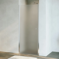 Душевая дверь в нишу RGW Dolphin 54930309-101 TN-03 90х195, профиль хром, стекло матовое