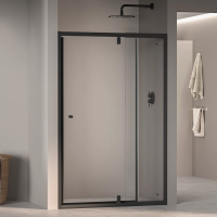 Душевая дверь в нишу RGW Passage PA-02B New 120x185, профиль черный, стекло прозрачное