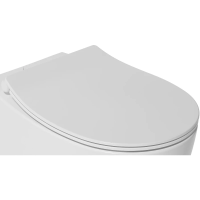 Сиденье для унитаза с микролифтом Isvea Sentimenti Neo 40D80201I-S