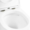 сиденье для унитаза cezares stylus czr-2316-sc с микролифтом