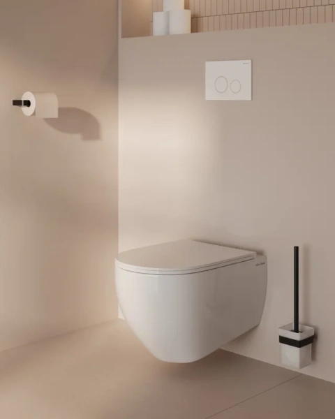 Ёршик для унитаза Allen Brau Infinity 6.21008-31 настенный, черный