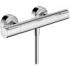 Термостат для душа Hansgrohe Ecostat Element 13346000