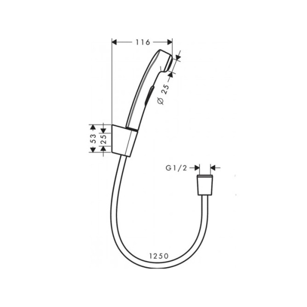hansgrohe hansgrohe гигиенический душ 1jet, со шлангом 1.25м и настенным держателем, цвет: полированное золото