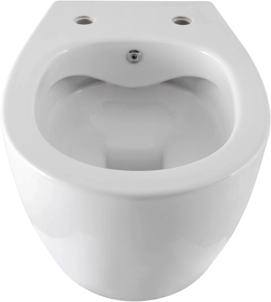 унитаз подвесной allen brau fantasy 4.11hc1.20, rimless, без сиденья, цвет белый (287728)