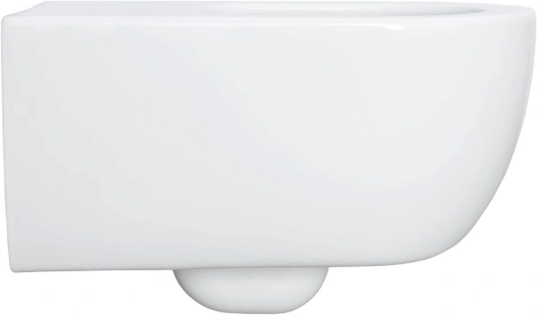 унитаз allen brau priority 4.31001.20 подвесной, без сиденья, белый