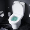 унитаз компакт am.pm spirit v2.0 flashclean ck70c1804w с гигиеническим душем и ершиком с бачком и сиденьем микролифт