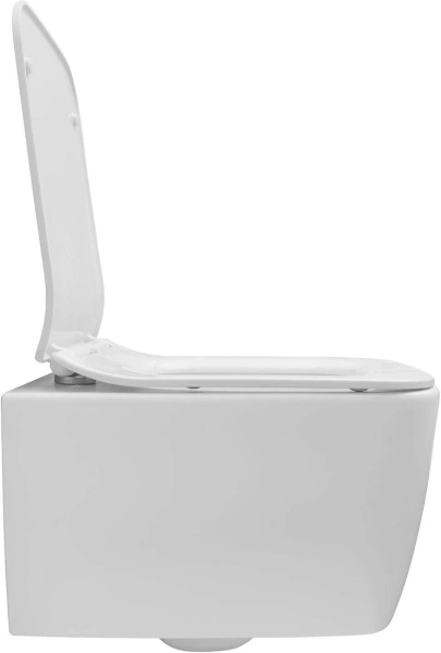 унитаз allen brau liberty 2 4.33007.21 подвесной белый матовый без сиденья